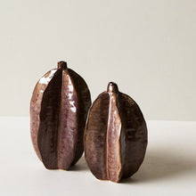 Load image into Gallery viewer, Large Brown Pod Vase
