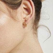 Load image into Gallery viewer, Jolie &amp; Deen Anthea Studs
